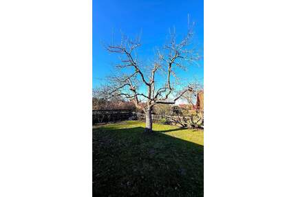 Großzügiges EFH mit großem Grundstück in Schwülper OT Rothemühle