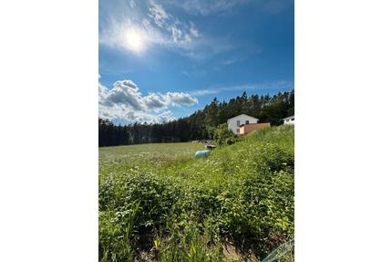 Ein Jahr+ in die Natur ziehen - 1.800,00&nbsp;EUR Kaltmiete, ca.&nbsp; 154,00&nbsp;m&sup2; in Hohenburg (PLZ: 92277)