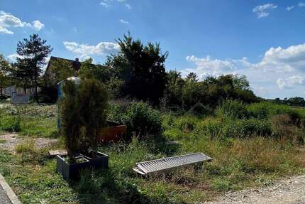 Sonniges Baugrundstück für Einfamilienhaus - Langensendelbach