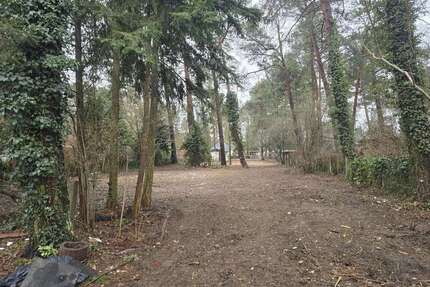 Grundstück zu verkaufen in Zühlsdorf 310.000,00 € 1370 m²