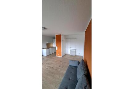 Einzimmerwohnung Limburgerhof 430 KM