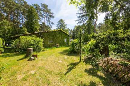 Grundstück zu verkaufen in PetershagenEggersdorf 200.000,00 € 850 m² - Petershagen/Eggersdorf