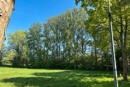 Wiese Weide Unterstand Pferdekoppel zu verpachten - Scharbeutz Wulfsdorf