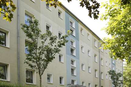 Wohnung zum Mieten in Weißenfels 377,00 € 58 m²