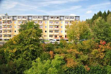 Wohnung zum Mieten in Bad Elster 320,00 € 37 m²