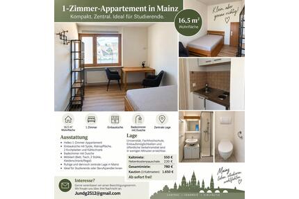 möbiliertes 1-Zimmer-Appartement in Mainz -zentral-sofort frei