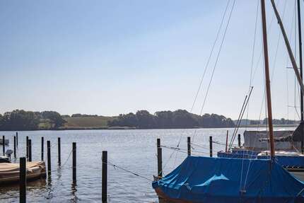 Haus zum Kaufen in Boren 1.375.000,00 € 546 m²