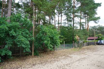 Ein Baugrundstück in der Waldgemeinde Borkwalde mit einem Kauf- oder Erbbaurechtsvertrag
