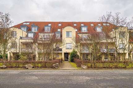 Wohnung zum Mieten in Dresden 385,00 € 40.32 m²