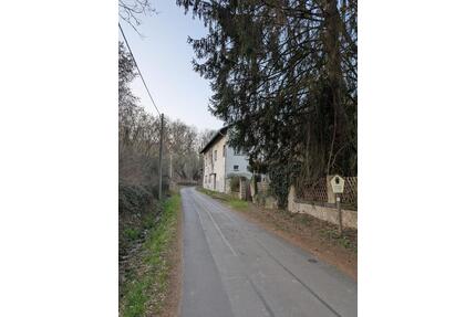 Einzigartiges Anwesen mit 2,2 ha Grundstück & Einliegerwohnung - Coswig