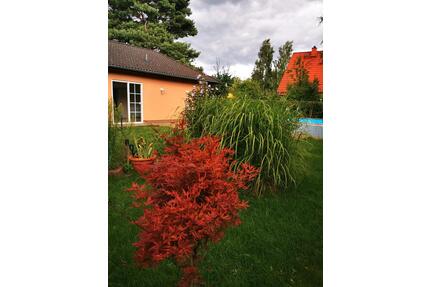 Charmanter Bungalow mit Garten, Pool und viel Privatspäre - Berlin Pankow