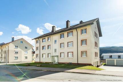 Sanierte 3-Zimmerwohnung mit Balkon, Garage & Schwedenofen in Titisee-Neustadt zum Kauf