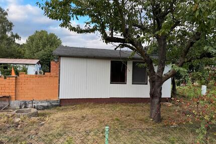 Kleingarten - 350,00&nbsp;EUR Kaltmiete, ca.&nbsp; 0,00&nbsp;m&sup2; in Altdöbern (PLZ: 03229)