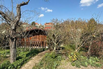 Pachtgrundstück Kleingarten Nr. 69 in Dresden-Trachau