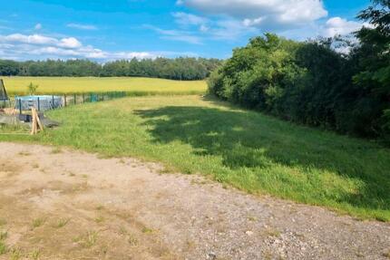 Baugrundstück in Bollewick bei Röbel - Röbel/Müritz