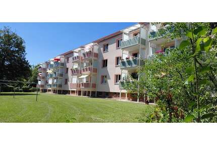 Wohnung zum Mieten in Stollberg 304,00 € 58.8 m²