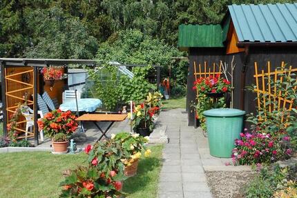 Kleingarten, Garten, Naschgarten - Heidenau