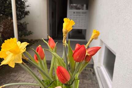 Wohnung zum Mieten in Stuttgart 1.300,00 € 80 m²