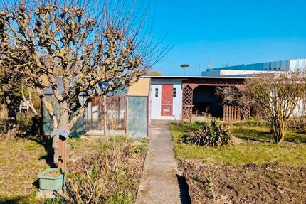 Kleingarten in Wismar, 304 m² nur 10 Minuten zu Fuß zur Ostsee