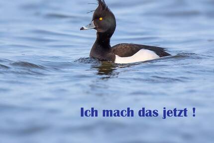 Wohnen im Herzen den Löwenstadt Bleckede