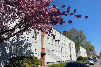 Wohnung zum Mieten in Dortmund 450,00 € 44 m²