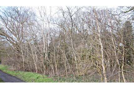 Grundstück zu verkaufen in Bad Zwischenahn 111.000,00 € 3004 m²