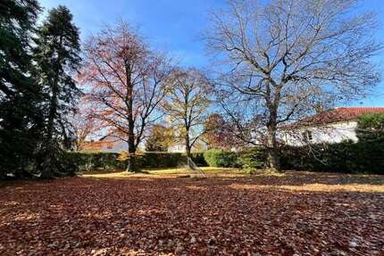 Haus zum Kaufen in Gilching 1.111.500,00 € 157 m²