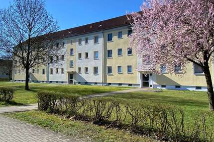 Wohnung zum Mieten in Hagenow 380,00 € 59.27 m²