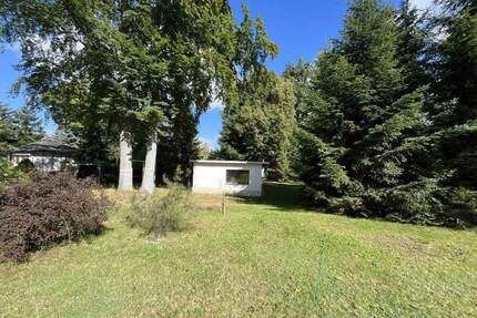 Liegau-Augustusbad: Großes Bauland am Waldrand - Radeberg