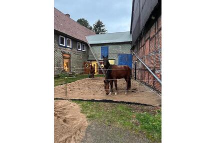 Traumhafter Hof mit Pferdehaltung – Ihr idyllisches Zuhause - Bockenem