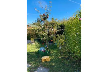 Garten Pacht Markkleeberg Rilkestr - Leipzig Süd