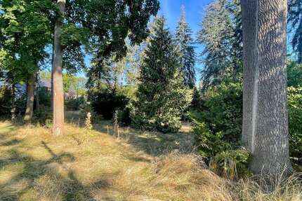 Grundstück zu verkaufen in Brandis 495.000,00 € 1804 m²