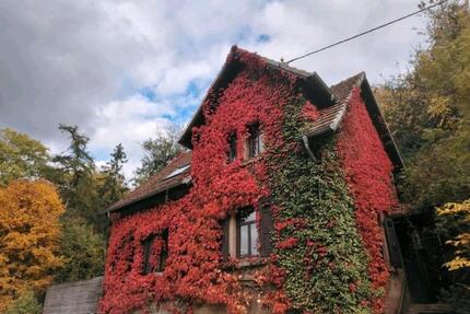 Haus in der Natur - 125.000,00&nbsp;EUR Kaufpreis, ca.&nbsp; 105,00&nbsp;m&sup2; in Niederkirchen (PLZ: 67700) Heimkirchen