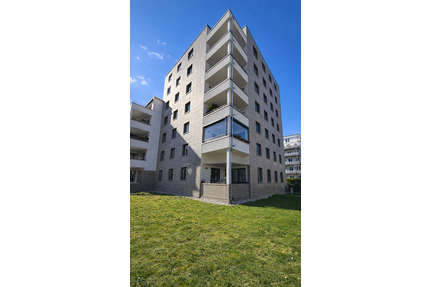 Wohnung zum Kaufen in Dresden 495.000,00 € 113 m²