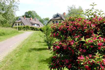 Wohnung zum Kaufen in Poseritz 329.000,00 € 81 m²