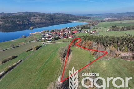 Grünland (ca. 0,8 ha) nahe der Talsperre Ratscher in Schleusingen - zw. Suhl und Coburg