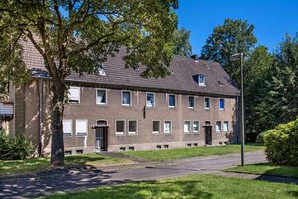 Wohnung zum Mieten in Gelsenkirchen 309,00 € 42.37 m²