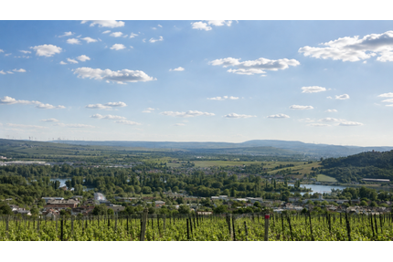 Grundstück zu verkaufen in Rüdesheim am Rhein 828.000,00 € 600 m²