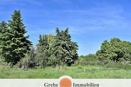 Grundstück zu verkaufen in Zossen Dabendorf 663.750,00 € 2655 m² - Zossen / Dabendorf