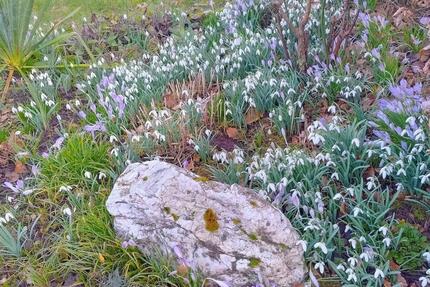 2-Zimmer-Wohnung mit Terrasse und Weitblick - Pelm