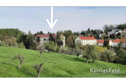 Eigentumswohnung im Grünen 3Zi Königsfeld Rochlitz Geithain ruhig