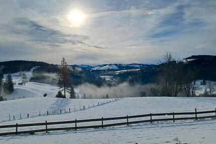 Wunderschöne 3 - Zimmer - 1.000,00&nbsp;EUR Kaltmiete, ca.&nbsp; 100,00&nbsp;m&sup2; in Stiefenhofen (PLZ: 88167)