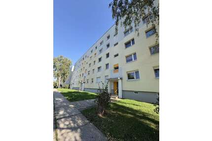 Wohnung zum Mieten in Gera 240,00 € 34.3 m²