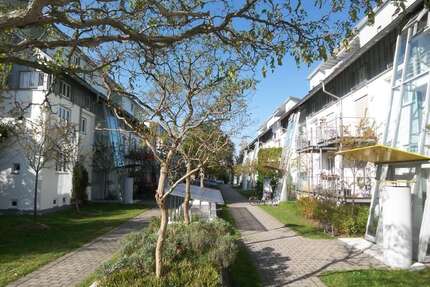 Wohnung zum Kaufen in Chemnitz 100.000,00 € 59.75 m²