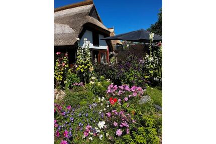Reetgedecktes Ferienhaus an der Ostsee im denkmalgeschützen Dorf - Dranske