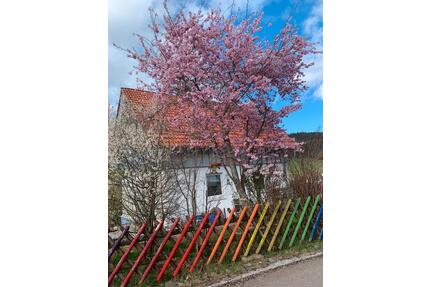 Einfamilienhaus in St.Georgen Langenschiltach - Sankt Georgen im Schwarzwald
