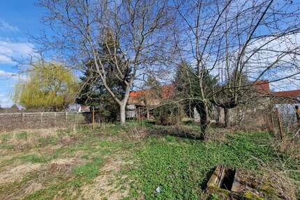 Haus zum Kaufen in Dessau-Roßlau 199.000,00 € 186.57 m²