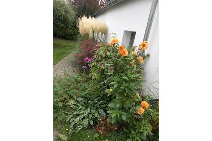 ferienhaus ferienwohnung dresden