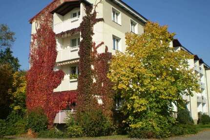Wohnung zum Mieten in Hoyerswerda 280,00 € 47.22 m²