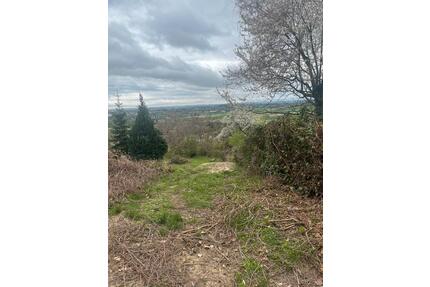 Gartengrundstück - 85,00&nbsp;EUR Kaltmiete, ca.&nbsp; 0,00&nbsp;m&sup2; in Hemsbach (PLZ: 69502)